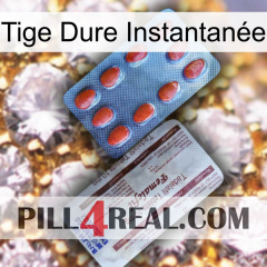 Tige Dure Instantanée 36